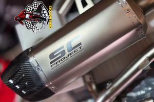 Africa twin 1100 2020-25 Terminale o Scarico