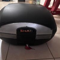 Bauletto Shad SH45 Nuovo - Piastra