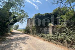 Rustico/Casale/Corte Alife