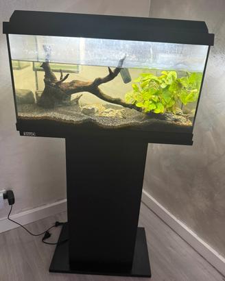 ACQUARIO JUWEL PRIMO LED 60 lt