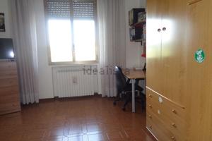 Villa verde villetta schiera di mq 240 ben tenuta