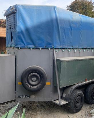 Trailer cavalli porelli ranger 3