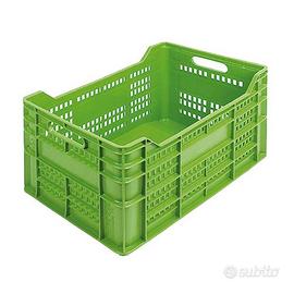 Esperienza in vigna -raccolta 2025