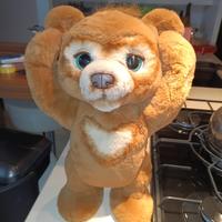 Orso Furreal interattivo Hasbro animatronic robot
