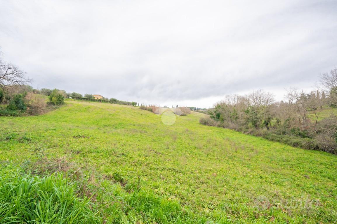 TER. AGRICOLO A SACROFANO - Vista 5