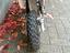 Immagine 4