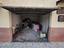 Immagine 8
