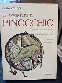 Libro Pinocchio