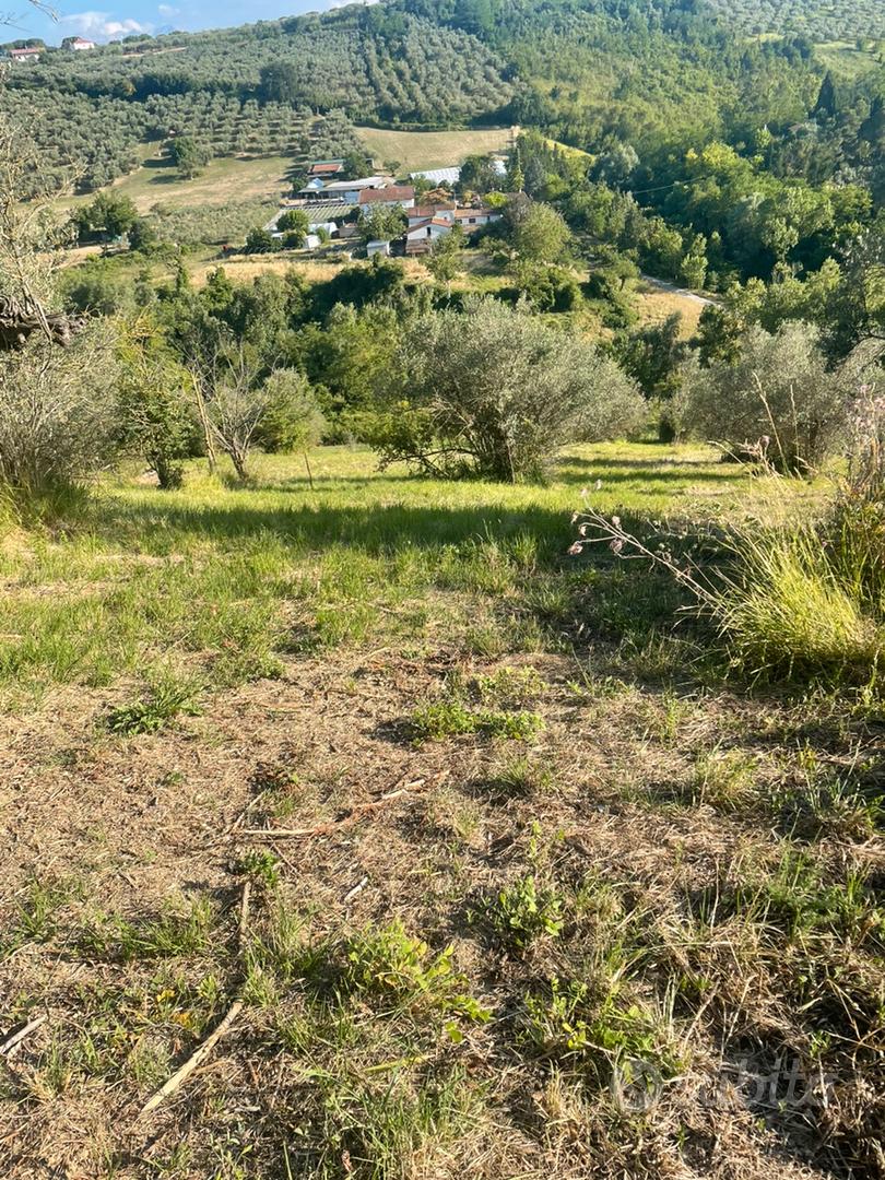 terreno 2 ettari Loreto Aprutino zona Colle Palma - Vista 4