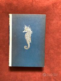 Sub - Uomini e squali - H. Hass - 1951