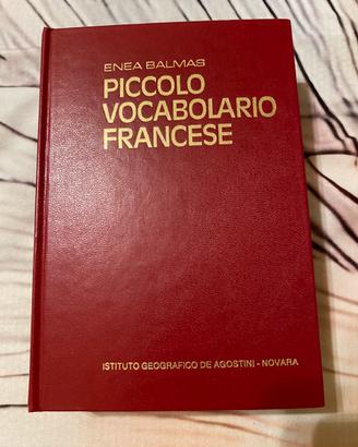 Piccolo vocabolario francese