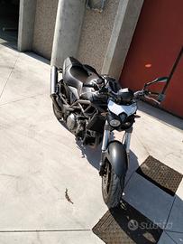 Raptor 1000
