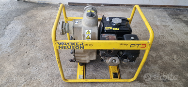 ? Pompa Wacker Neuson PT3 - Honda GX240