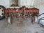 Immagine 2