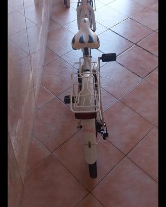 bicicletta