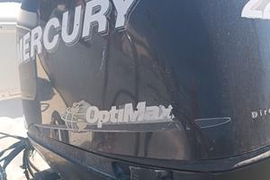Mercury optimax 225