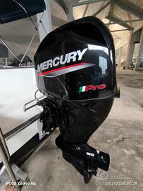Open 5,5 MT motore Mercury Pro 40cv