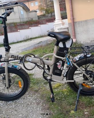 Bicicletta elettrica