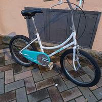 Graziella Atala 20 pollici