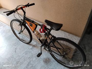 bicicletta 