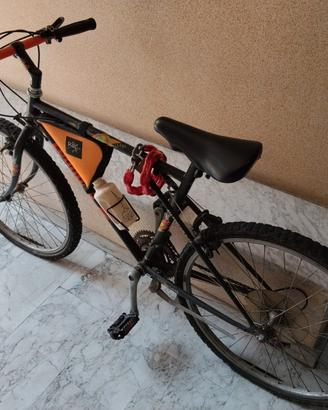 bicicletta 