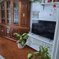 Trilocale ampio a Pieve del Cairo