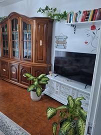 Trilocale ampio a Pieve del Cairo