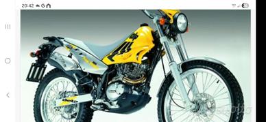 Decalcomanie beta alp 200