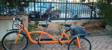 bicicletta 