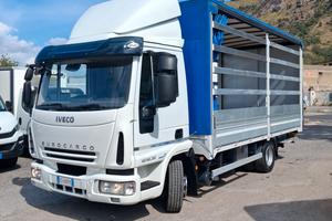 Iveco eurocargo 120EL22 cassone centinato 5.50 + p