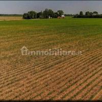 Terreno agricolo 20.000 mq