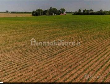 Terreno agricolo 20.000 mq