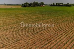 Terreno agricolo 20.000 mq
