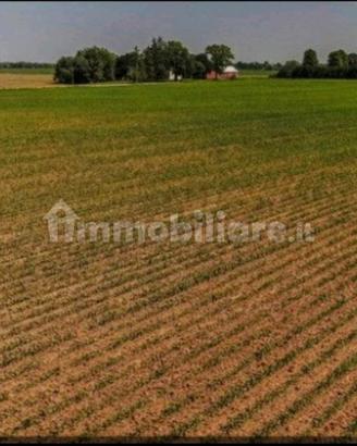 Terreno agricolo 20.000 mq