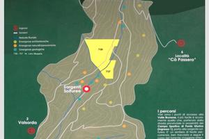 Terreno di bosco ceduo