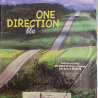 One DIRECTION BLU LIBRO INGLESE 9788897837381