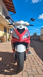 peugeot 50 speedfight 