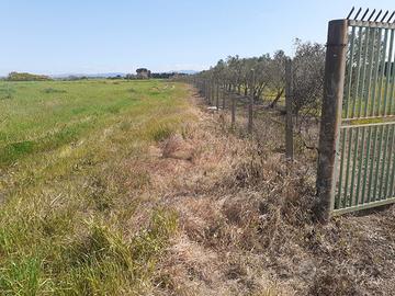Terreno agricolo irriguo in agro di Villasor