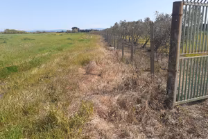 Terreno agricolo irriguo in agro di Villasor
