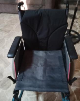 sedia a rotelle 