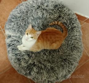 Bambolina gattina 12 mesi