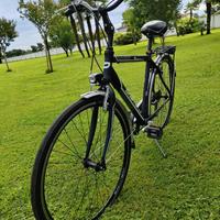 Bicicletta da uomo Daytona Riviera