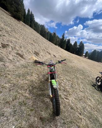 Trial Vertigo Vertical 300cc