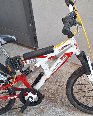 Mountain Bike Bambino 