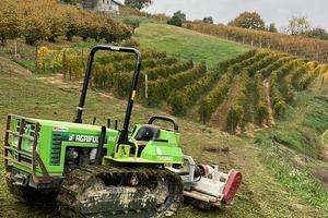 CINGOLO AGRIFULL 55 fiat