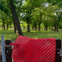 Sottosella cavallo vari