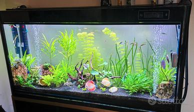 Acquario 450 lt marino/dolce