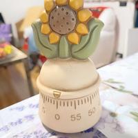 Timer da cucina Thun