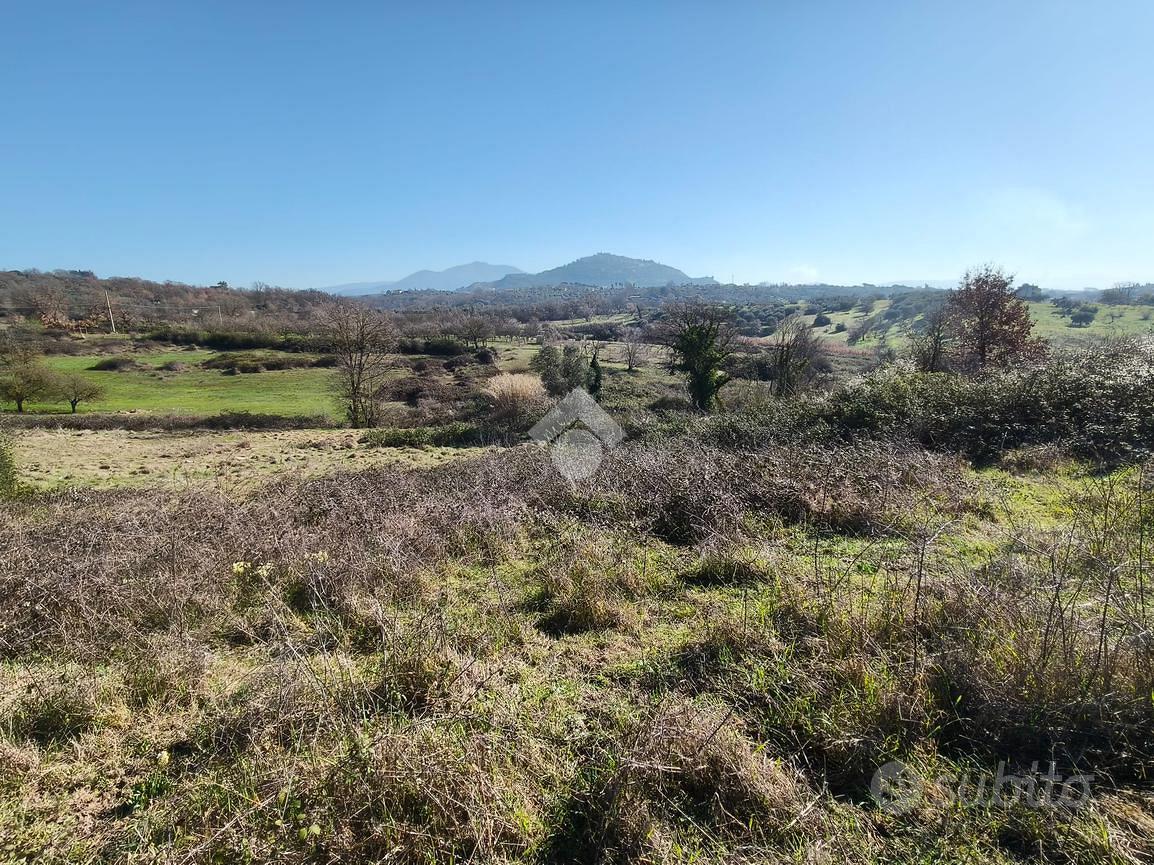 TER. AGRICOLO A SANT'ANGELO ROMANO - Vista 2