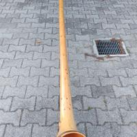 alphorn o corno delle alpi